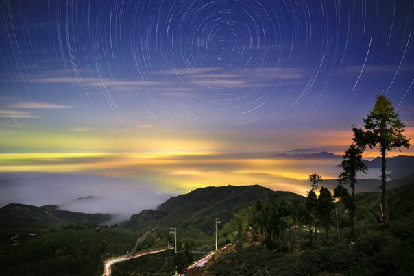 Туман от тайваньского фотографа