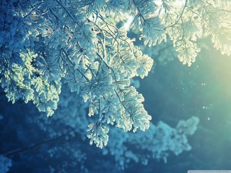 Красота зимней природы