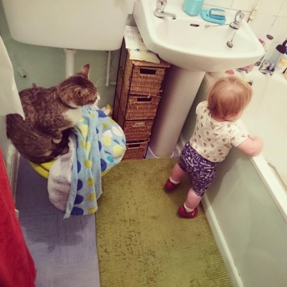 Коты умеют присматривать за детьми