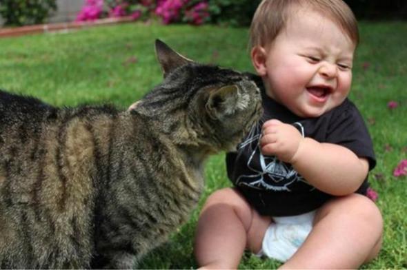Коты умеют присматривать за детьми