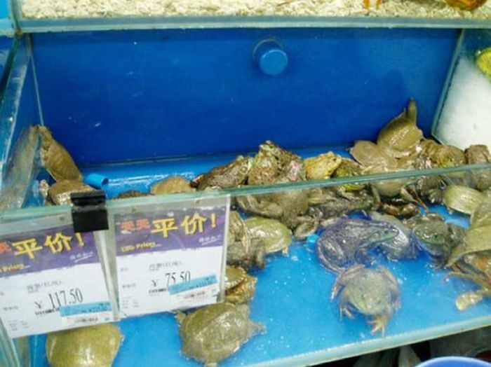 Какие продукты можно встретить в супермаркетах Китая
