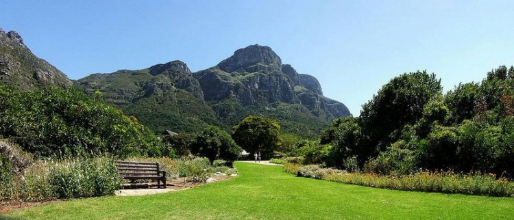 Сад Кирстенбош - царство флоры в Южной Африке