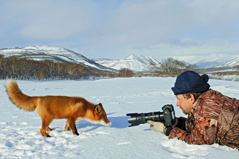 Дикие животные в кадре известного фотографа Сергея Горшкова
