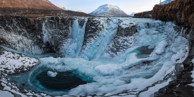 Дикие животные в кадре известного фотографа Сергея Горшкова