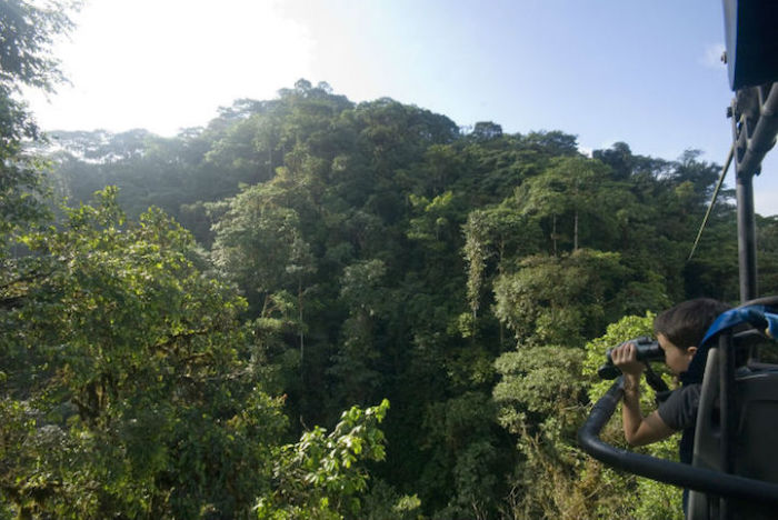 Небесный велосипед: прокатиться над тропическим лесом