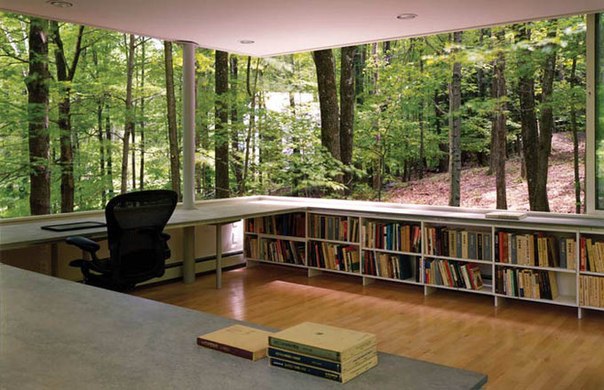 Библиотека для чтения в лесу