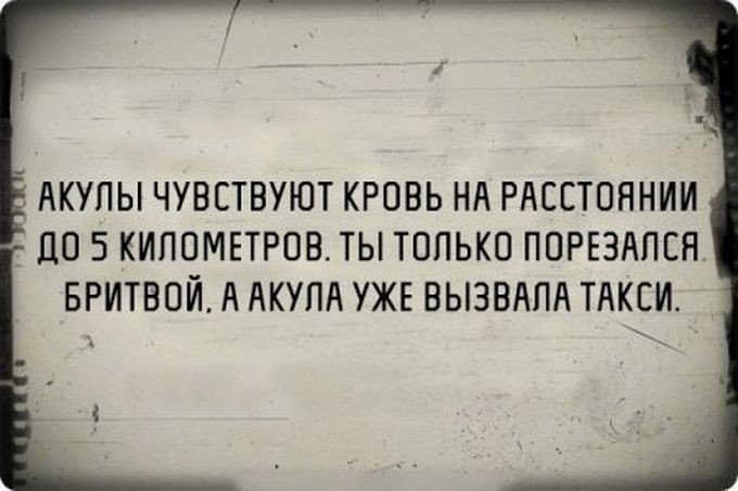 Саркастические высказывания на старой плёнке