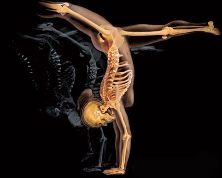 Впечатляющие изображения человеческого тела