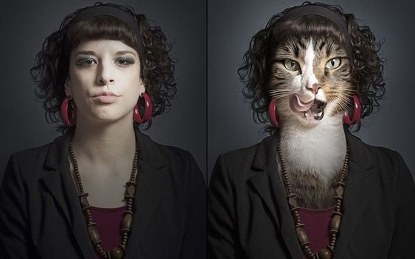 Кошки в образах своих хозяев от Себастьяна Манани