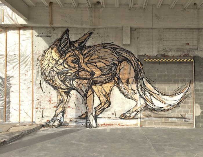 Рисунки животных от бельгийского уличного художника Dzia