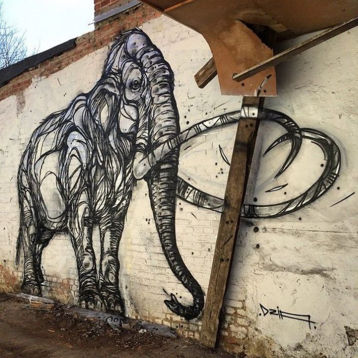 Рисунки животных от бельгийского уличного художника Dzia