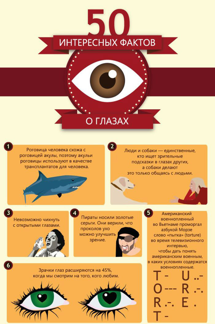 Интересные факты о глазах людей и животных