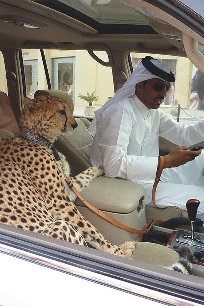 Необычные фотографии из Дубая