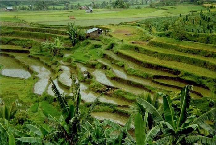 Живописные пейзажи Индонезии