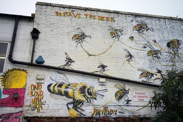Спасите пчёл: серия рисунков уличного художника