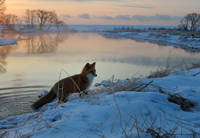 Красота природы на фотографиях Игоря Шпиленка