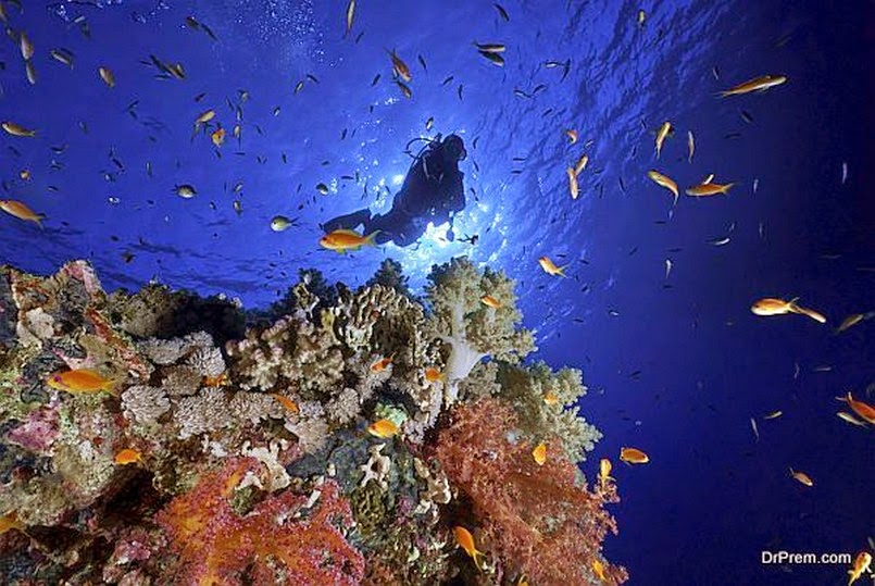 Лучшие места планеты для любителей подводного плавания