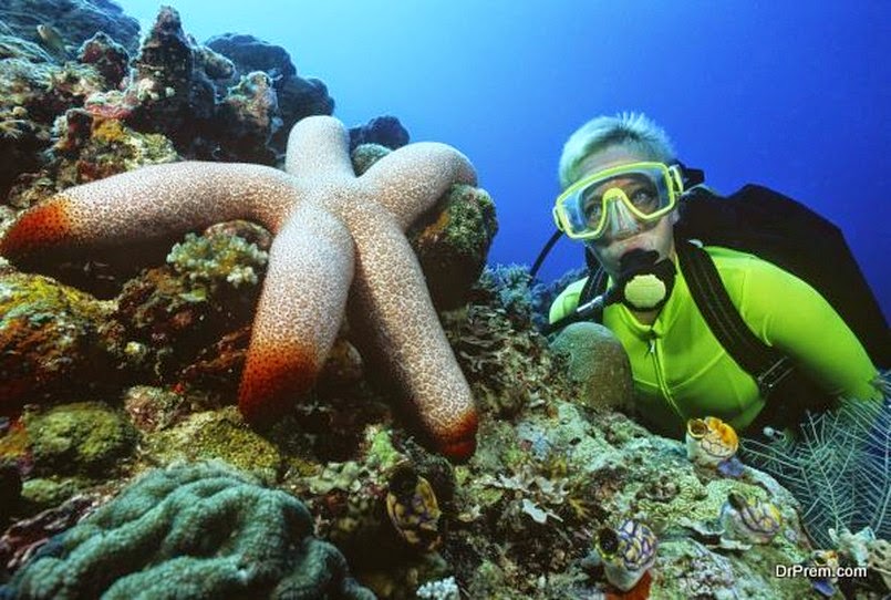 Лучшие места планеты для любителей подводного плавания