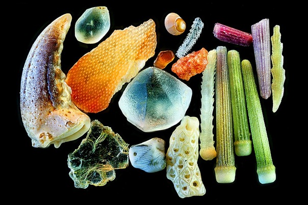 Песок под микроскопом