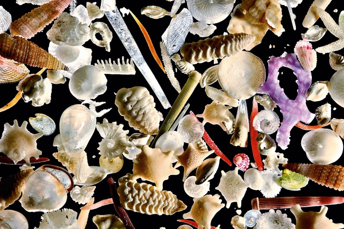 Песок под микроскопом