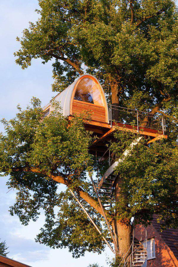 Замечательные домики на деревьях