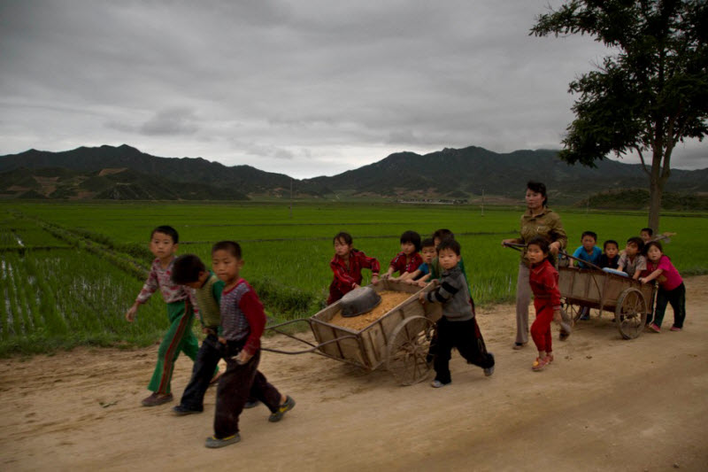 Жизнь детей в Северной Корее