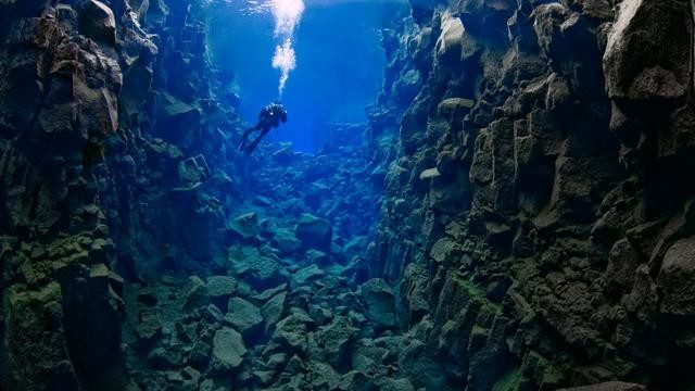 15 потрясающих фактов об океане