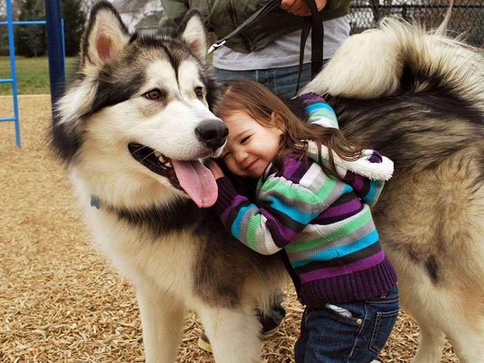 Дети и собаки на трогательных фотографиях