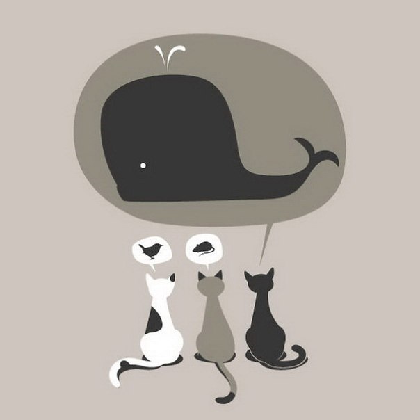 Забавные иллюстрации на тему кошек