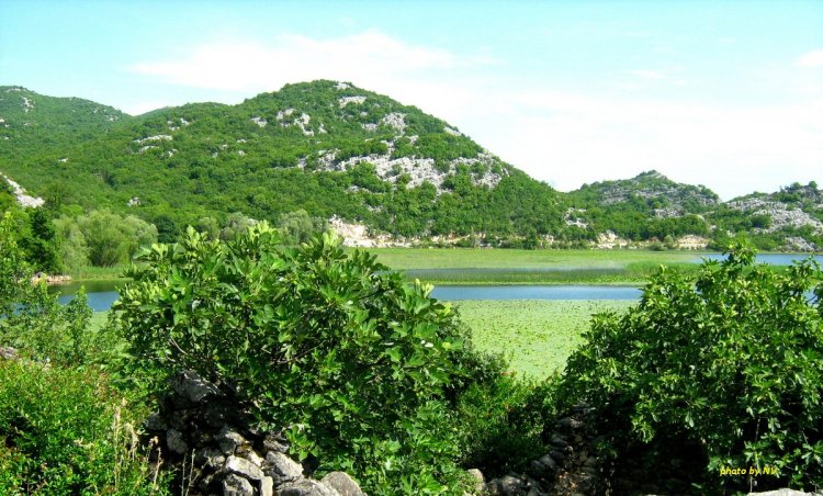 Национальный парк Скадарское озеро в Черногории