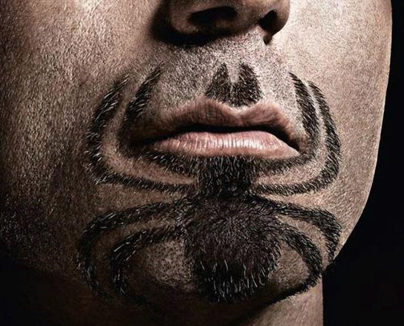 Что значит раздвоенная борода
