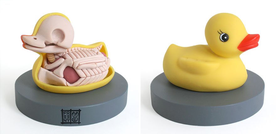Анатомические игрушки от Джейсона Фрини