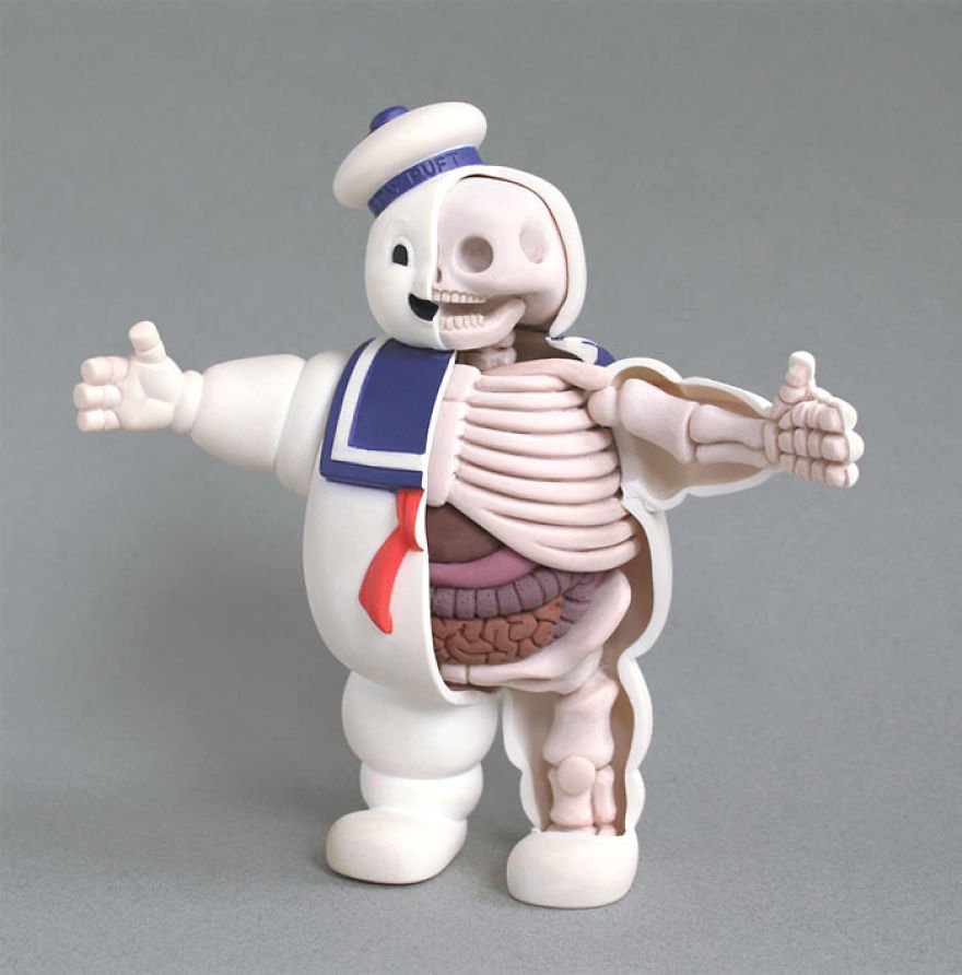 Анатомические игрушки от Джейсона Фрини