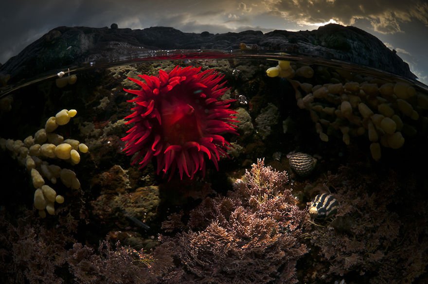 Подводный и надводный мир на фотографиях Мэтти Смита