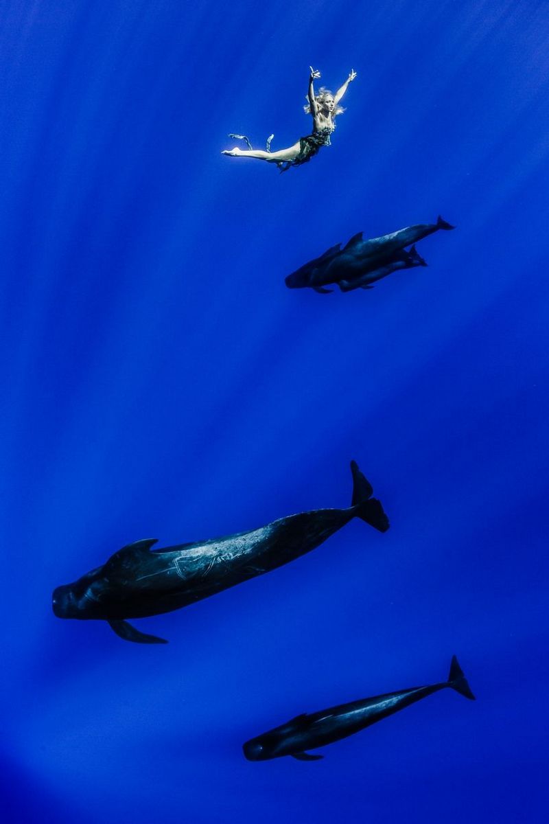 Подводные фотографии с китами