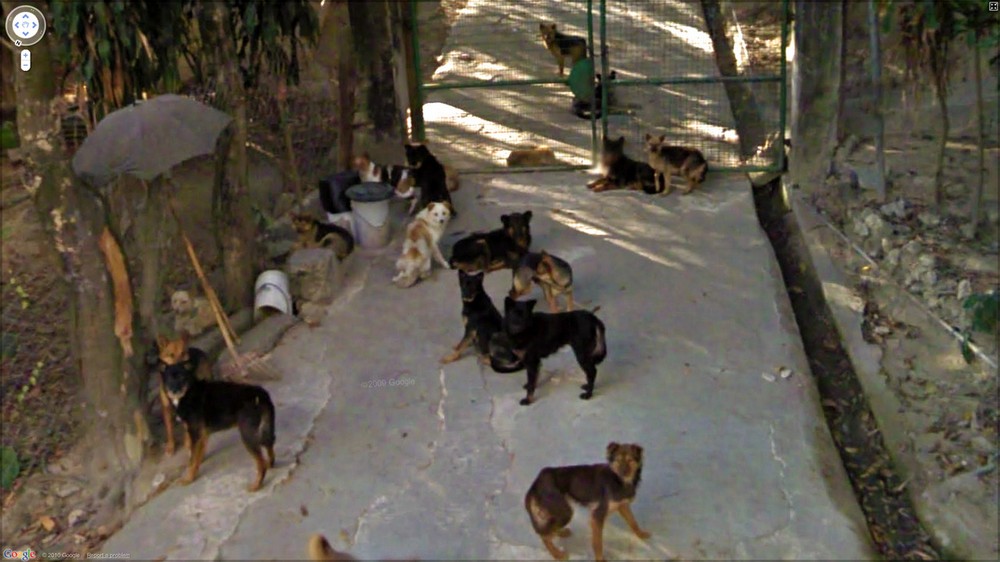 Забавные фотографии от Google Street View