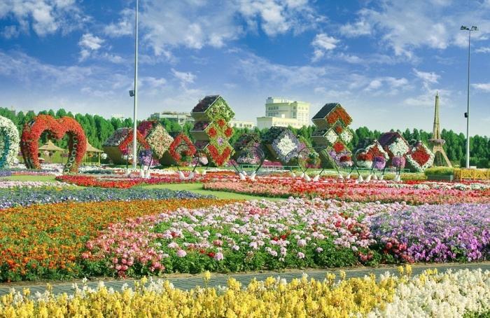 Цветочные сады в Дубае