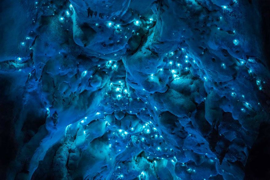 Светлячки в пещере Waitomo