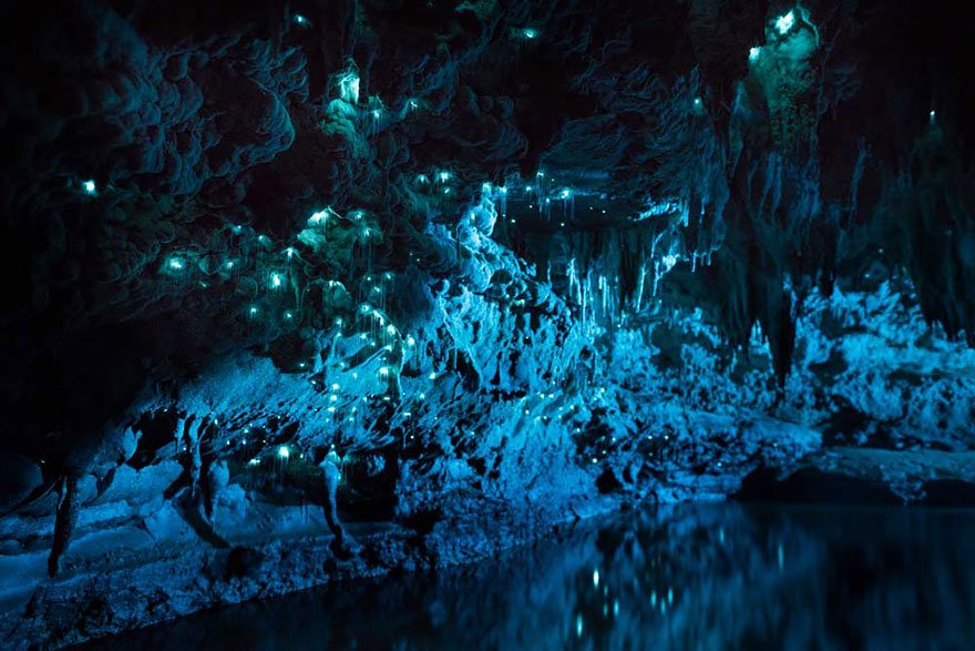 Светлячки в пещере Waitomo