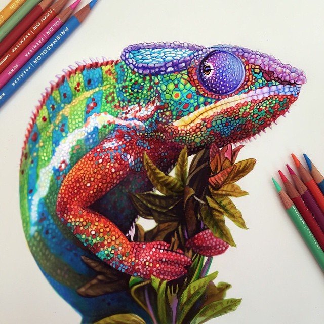 Гиперреалистичные рисунки цветными карандашами от Морган Дэвидсон
