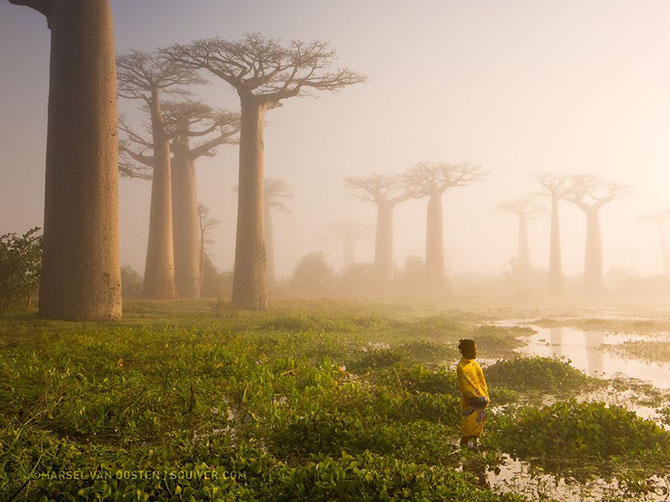 Лучшие фотографии от National Geographic за июль 2015