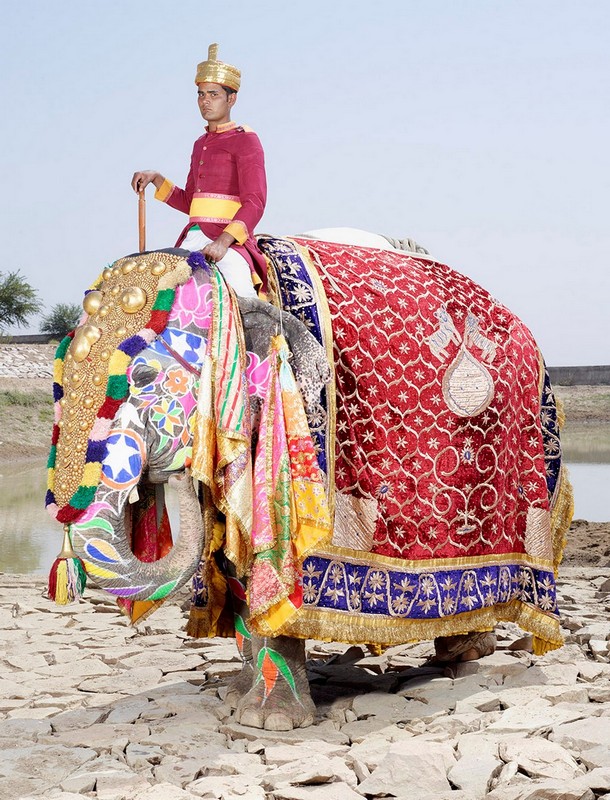 На фестивале слонов в Индии