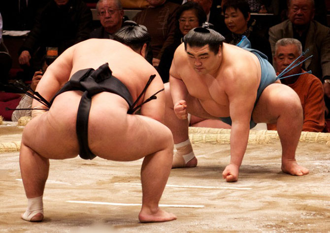 Интересные факты о борьбе сумо