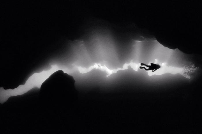 Красота подводного мира на фотографиях