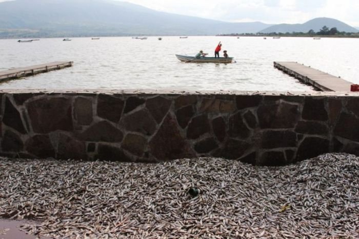 Экологическая трагедия в мексиканском озере Кахититлан