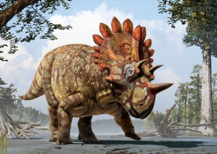 Новые любопытные факты о динозаврах
