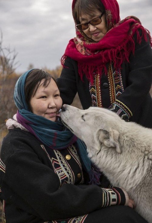 Как живут нганасаны - коренной самодийский народ Сибири