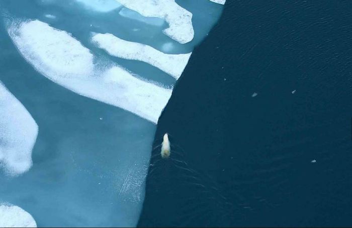 Невероятные красоты Арктики, которые могут скоро исчезнуть