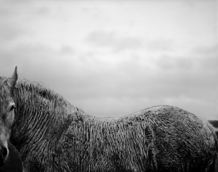 Черно-белые фотографии от Стефана Ванфлетерена