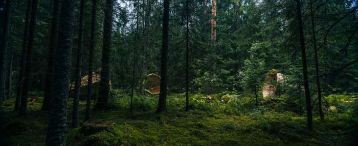 Усилители звуков природы в лесу